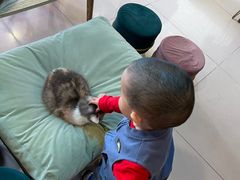 -平行世界·猫咖(首经贸店)