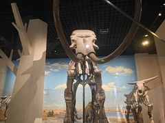 -国家自然博物馆