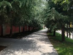 -法门文化景区