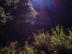 -苍山感通索道