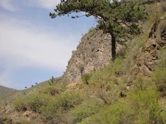 -灵山