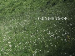 -灵山