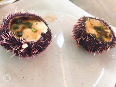 海胆-清水湾3号(东方小周海鲜店)