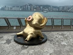 -星光大道