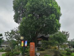 -梁鸿国家湿地公园