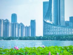 -天鹅湖体育公园