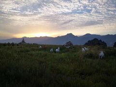 -敕勒川草原文化旅游区