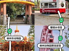 -柳州市动物园