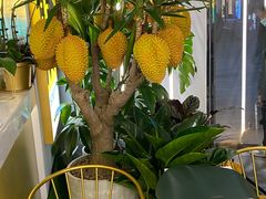 -猫王榴莲世家(三里屯SOHO商场店)