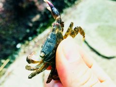 -珠海金沙滩