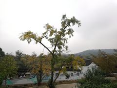 -雨花胜境
