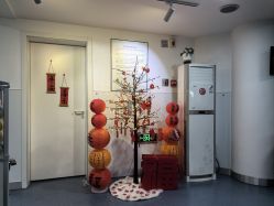 -温州伯思立医院