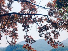 -广州市白云山风景名胜区