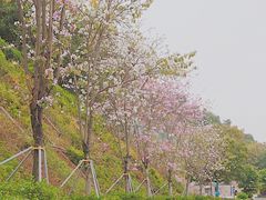 -小南山公园