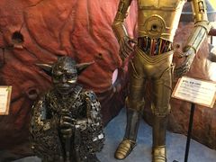 -信不信由你博物馆