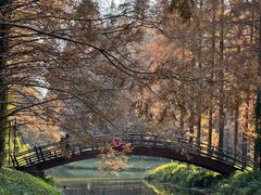 -黄海国家森林公园