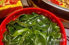 Blanched Sea Lettuce