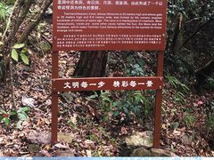 景点-福建天门山