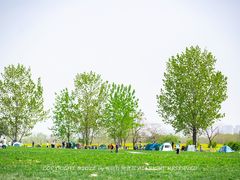 -汉长安城未央宫国家考古遗址公园