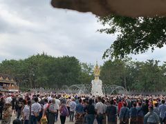 -西双版纳傣族园