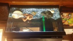 android_upload_pic-红人馆造型世爵国际