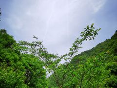 -抱龙峪