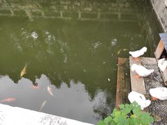 -苏州文庙(姑苏区)