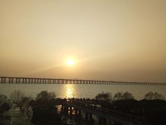 -宝安西湾红树林湿地公园