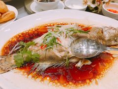 清蒸桂花鱼-白云宾馆·白云宴餐厅