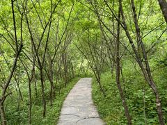 -鹿院坪生态旅游景区