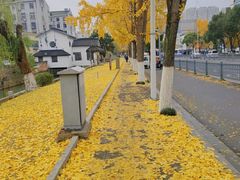 -西园戒幢律寺