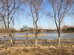 -大兴滨河森林公园