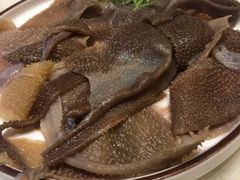 毛肚-阳光码头海鲜火锅(世纪大道店)