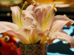 -谷咖啡·鲜花绿植花园餐厅