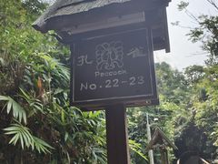 -三亚亚龙湾人间天堂鸟巢度假村