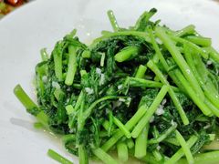 -麦麦山云南菜(复地活力城店)