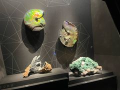 -浙江自然博物院(杭州馆)