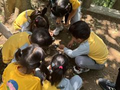 -上海佘山国家森林公园天马山园