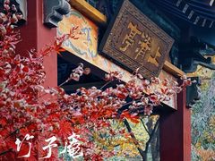 -竹子庵公园