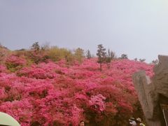 -木兰云雾山