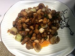 四川宫保鸡丁-同喜烤鸭店(光芒店)