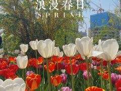 -陕西省西安植物园