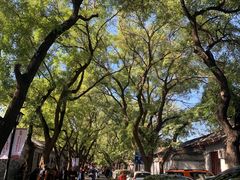 -北京国子监胡同