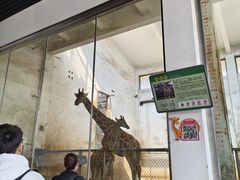 -石家庄市动物园