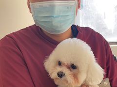 -美联众合动物医院·24h京西诊疗中心