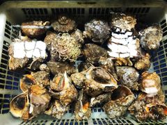 -无锡天鹏食品城