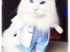 -美联众合动物医院·24h转诊中心