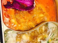 新辣道鱼火锅(世纪金源店)-新辣道鱼火锅(世纪金源购物中心店)