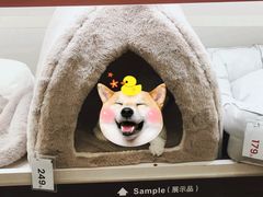 -NITORI 宜得利家居(金银潭永旺梦乐城店)