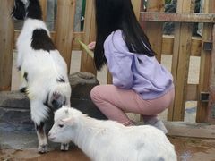 -正佳雨林生态植物园